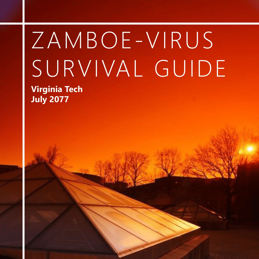 The text 'Zamboe-Virus Survival Guide' over an image of an orange sunset.